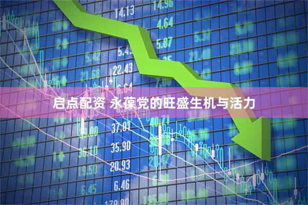 启点配资 永葆党的旺盛生机与活力