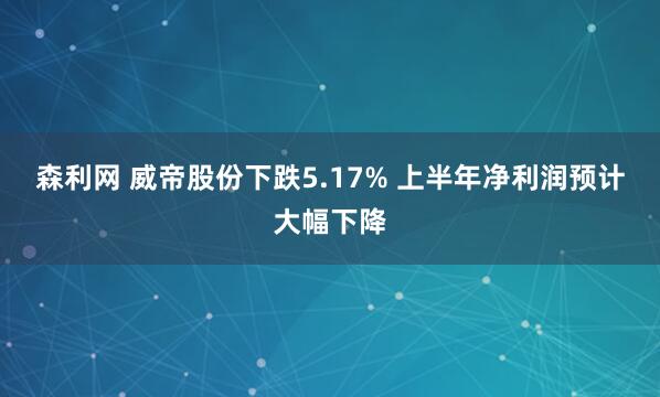 森利网 威帝股份下跌5.17% 上半年净利润预计大幅下降