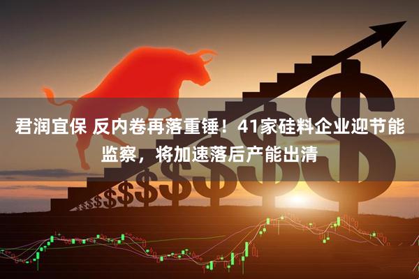君润宜保 反内卷再落重锤！41家硅料企业迎节能监察，将加速落后产能出清