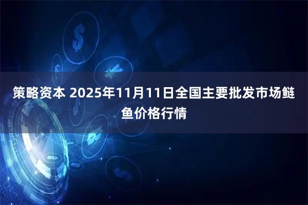 策略资本 2025年11月11日全国主要批发市场鲢鱼价格行情