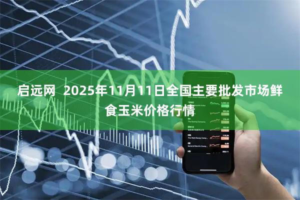启远网 2025年11月11日全国主要批发市场鲜食玉米价格行情