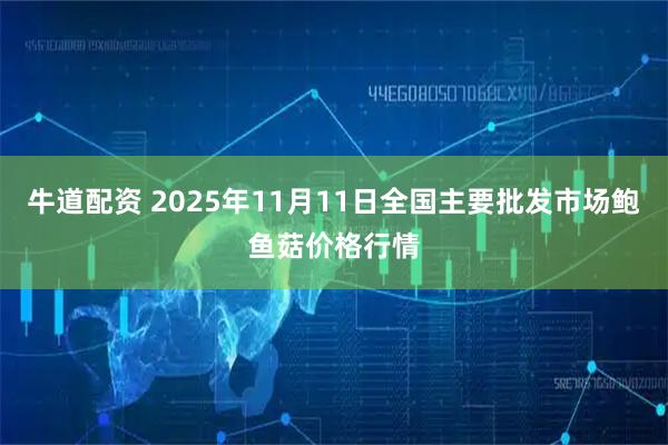 牛道配资 2025年11月11日全国主要批发市场鲍鱼菇价格行情